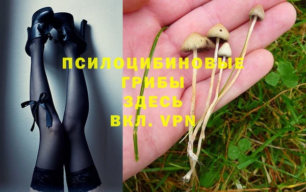 гашик Армянск