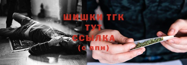 трава Арсеньев