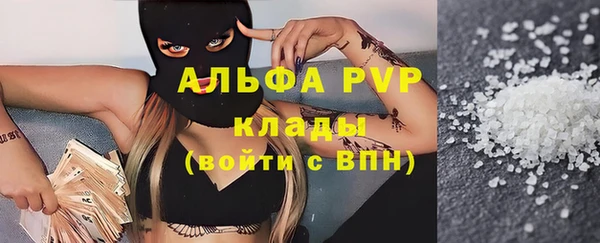 ГАЛЛЮЦИНОГЕННЫЕ ГРИБЫ Аркадак