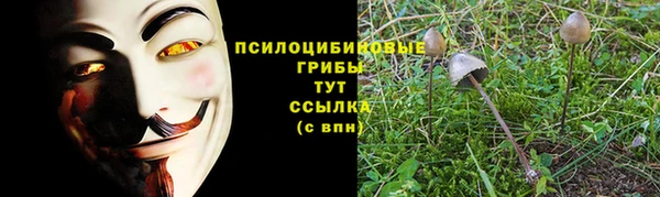 гашик Армянск