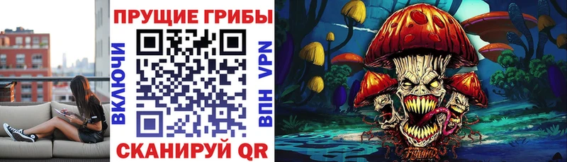 Псилоцибиновые грибы Psilocybe  Буинск 